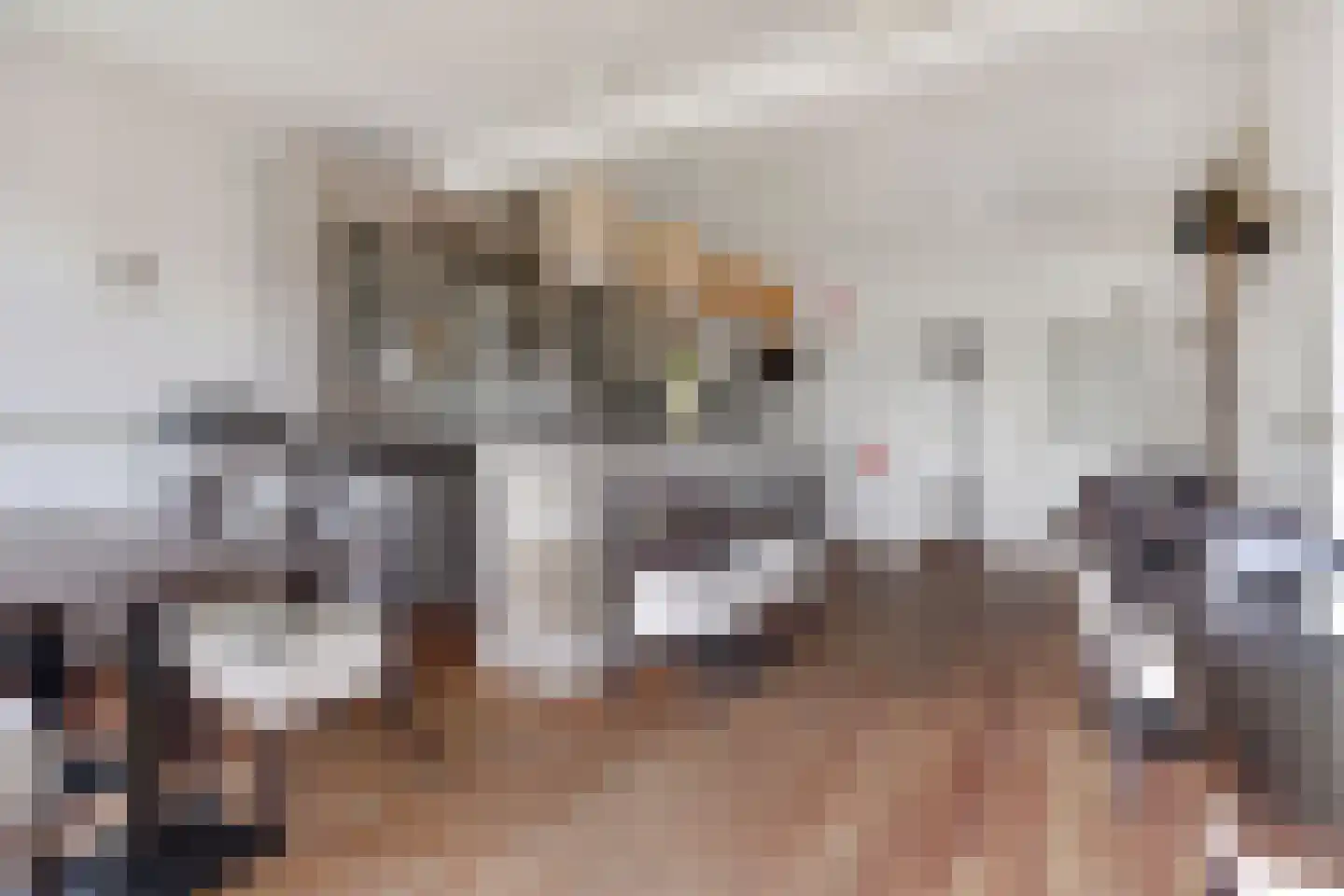 Korte Kerkstraat 27 Vianen thumbnail 12