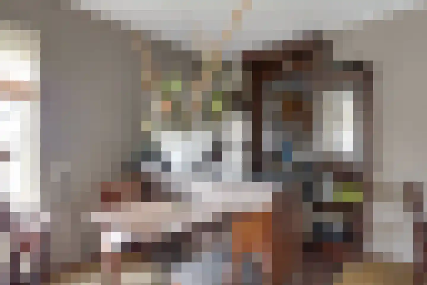 Korte Kerkstraat 27 Vianen thumbnail 17