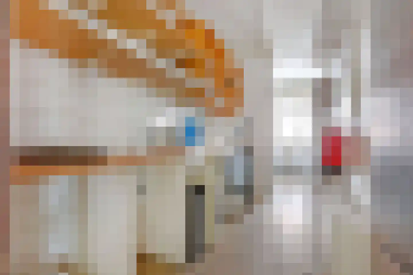 Korte Kerkstraat 27 Vianen thumbnail 18