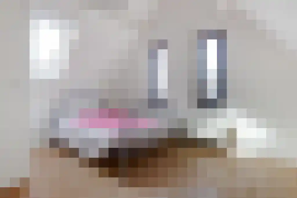 Korte Kerkstraat 27 Vianen thumbnail 21