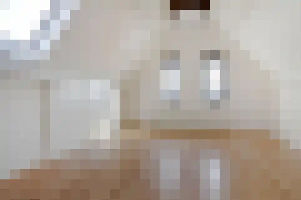 Korte Kerkstraat 27 Vianen thumbnail 22