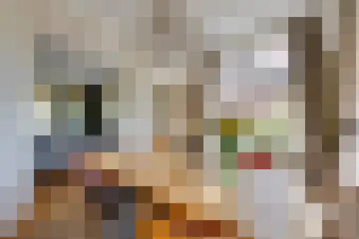 Korte Kerkstraat 3 Fijnaart thumbnail 13