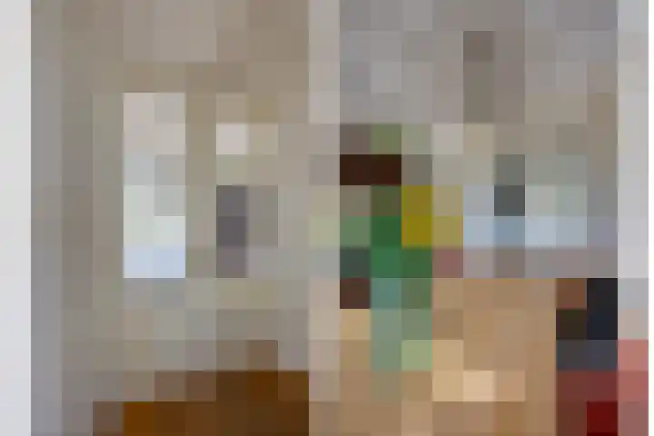 Korte Kerkstraat 3 Fijnaart thumbnail 17