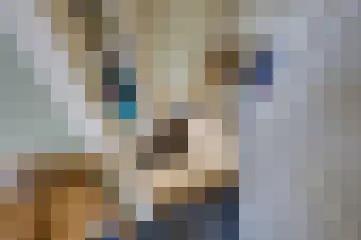 Korte Kerkstraat 3 Fijnaart thumbnail 30