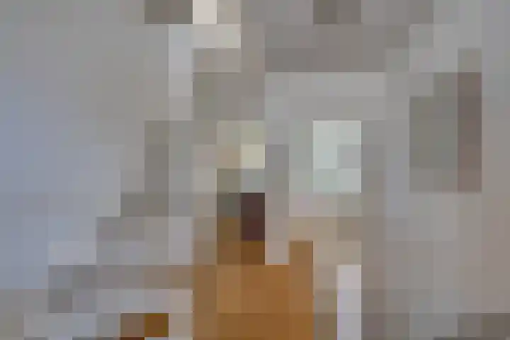 Korte Kerkstraat 3 Fijnaart thumbnail 33
