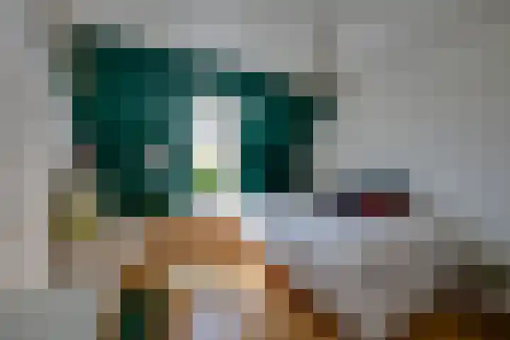 Korte Kerkstraat 3 Fijnaart thumbnail 38
