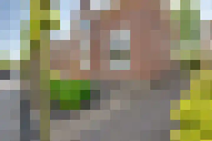 Korte Kerkstraat 3 Fijnaart thumbnail 4