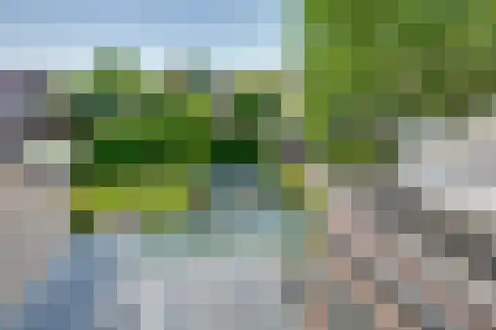 Korte Kerkstraat 3 Fijnaart thumbnail 41