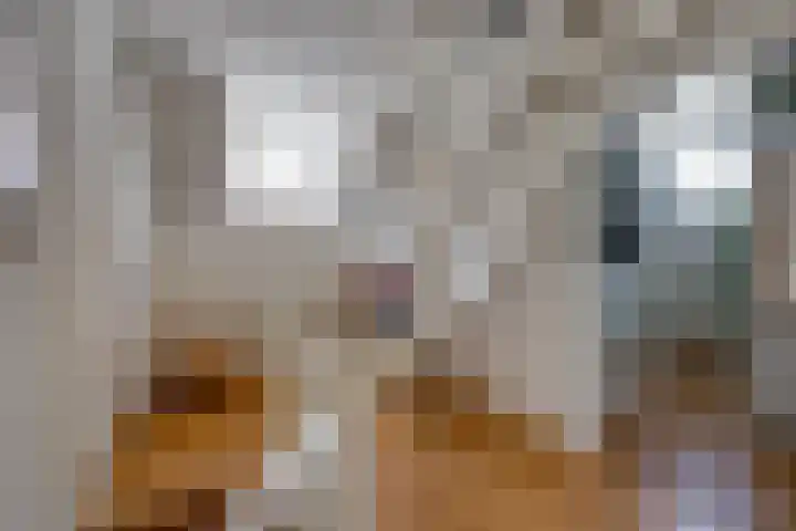 Korte Kerkstraat 3 Fijnaart thumbnail 42