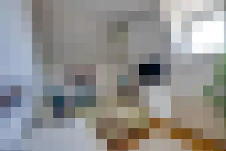 Korte Kerkstraat 3 Fijnaart thumbnail 43