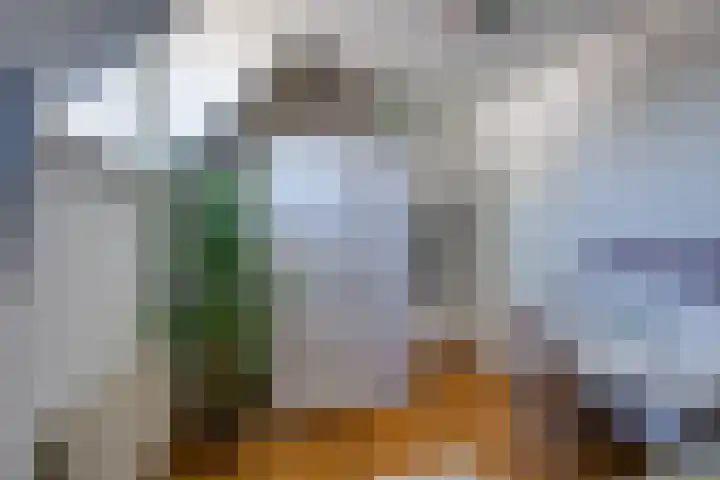 Korte Kerkstraat 3 Fijnaart thumbnail 44
