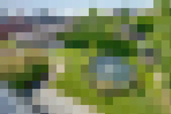 Korte Kerkstraat 3 Fijnaart thumbnail 50