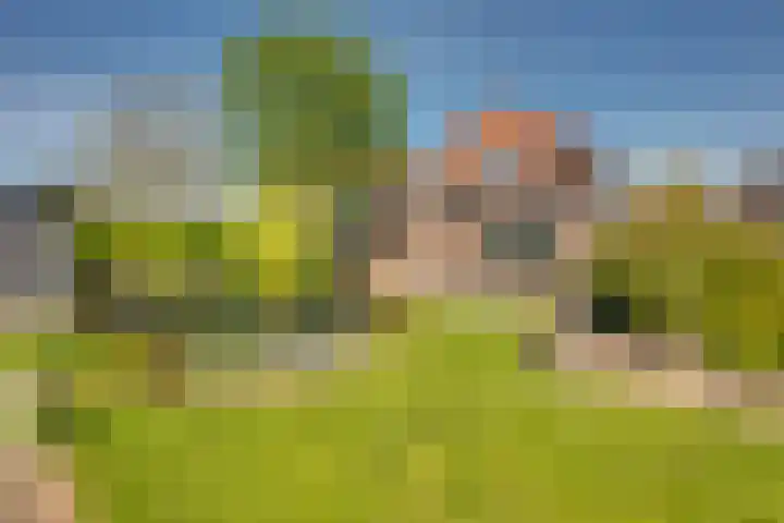 Korte Kerkstraat 3 Fijnaart thumbnail 60
