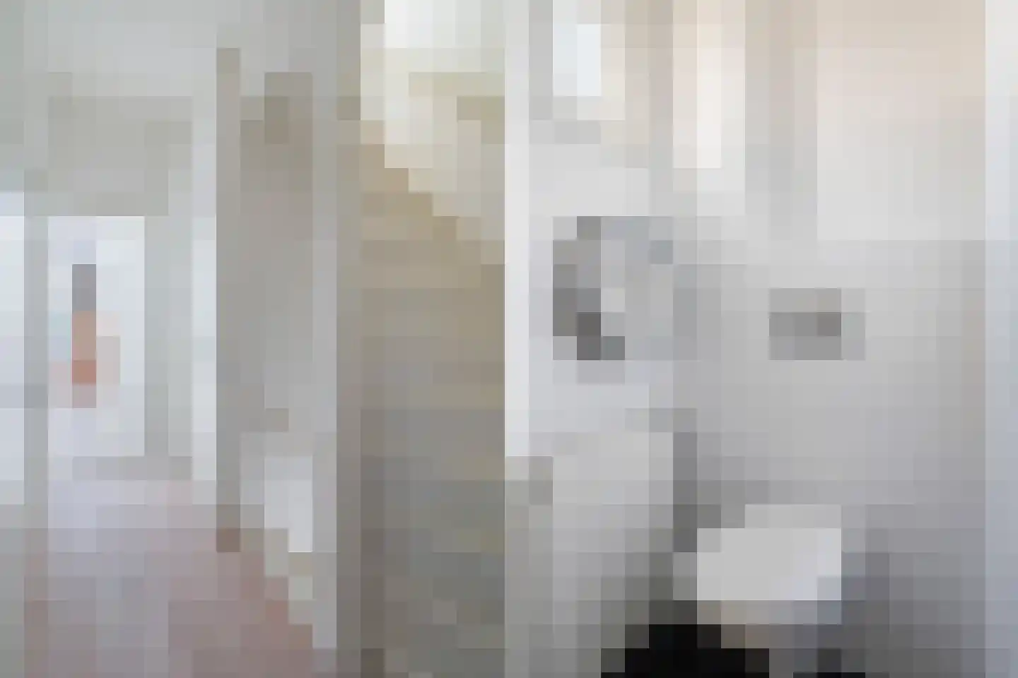 Korte Kerkstraat 3 Schiedam thumbnail 26