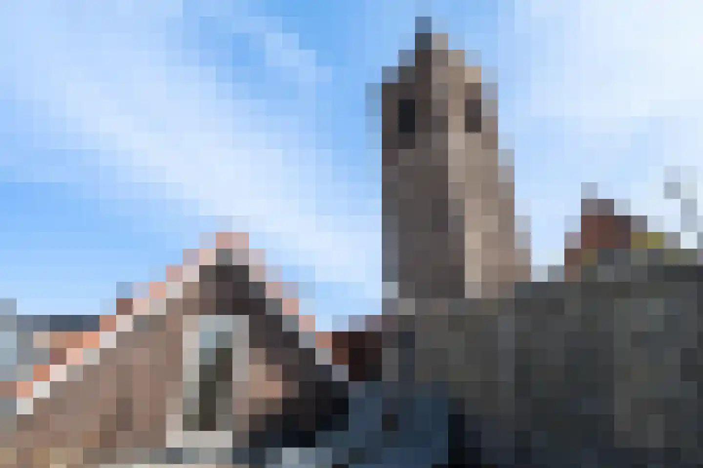 Korte Kerkstraat 3 Schiedam thumbnail 4