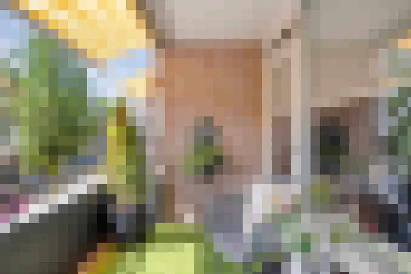 Korte Kerkstraat 31 Geldrop thumbnail 37