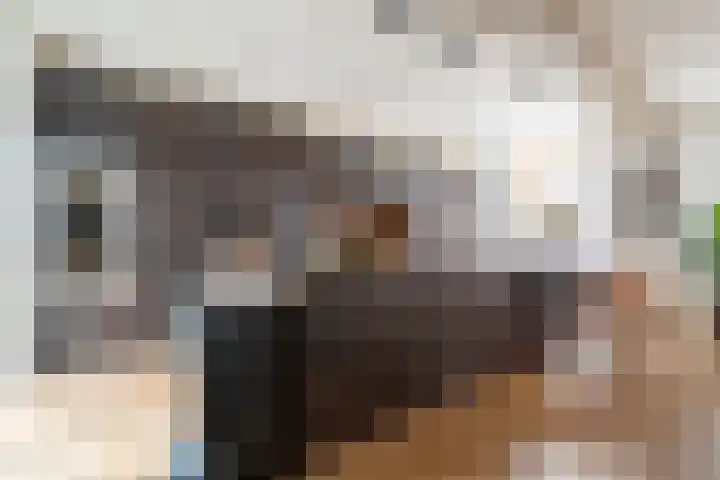 Korte Kerkstraat 4 A Harderwijk thumbnail 10