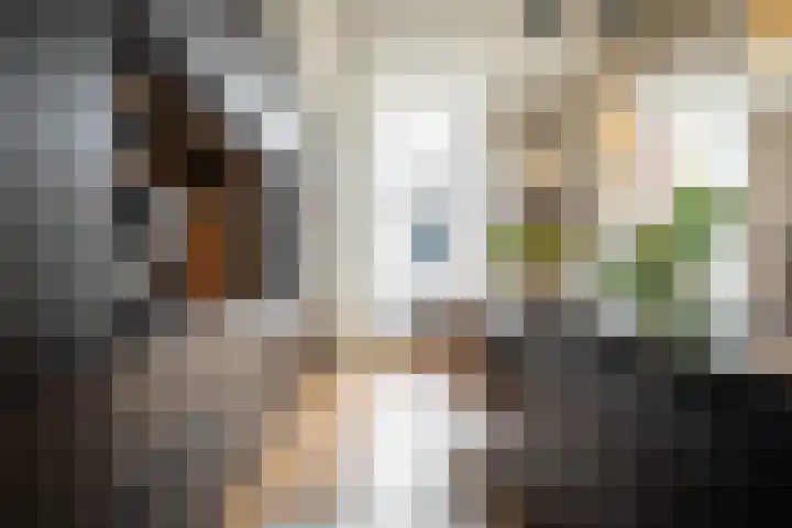 Korte Kerkstraat 4 A Harderwijk thumbnail 13