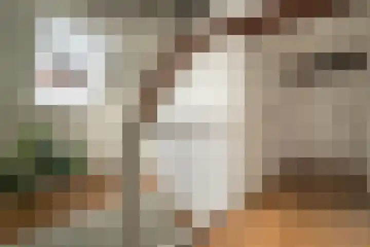 Korte Kerkstraat 4 A Harderwijk thumbnail 24