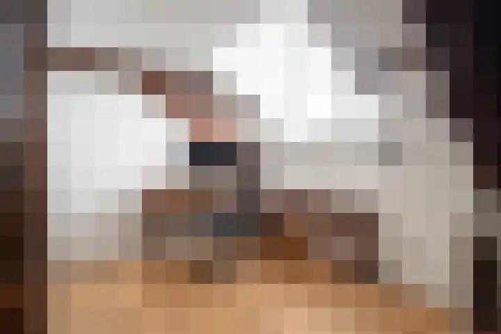 Korte Kerkstraat 4 A Harderwijk thumbnail 31