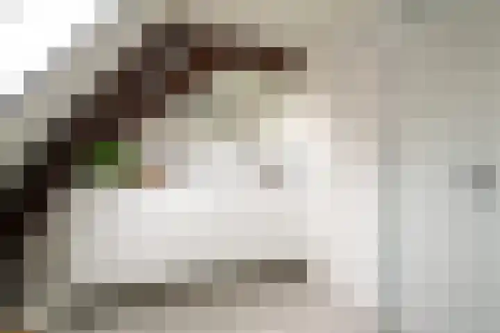 Korte Kerkstraat 4 A Harderwijk thumbnail 33