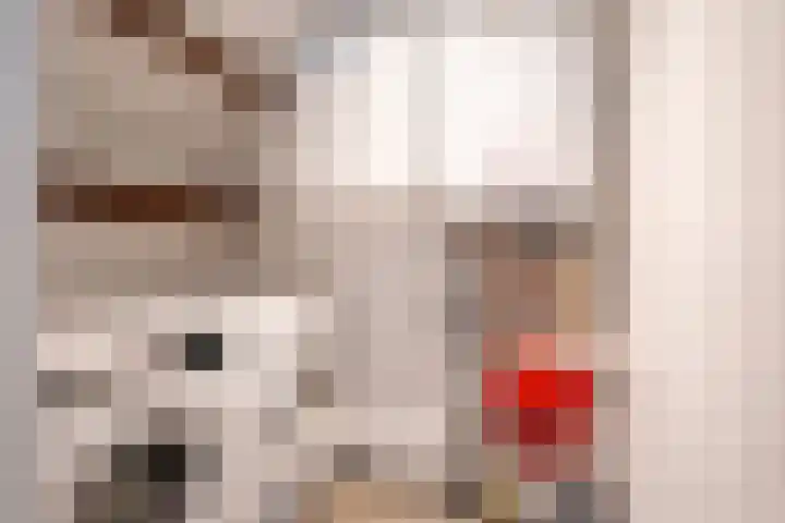 Korte Kerkstraat 4 A Harderwijk thumbnail 36