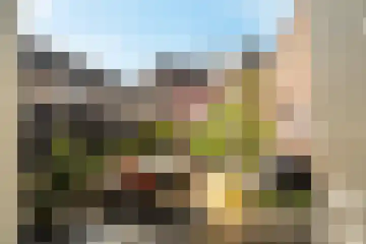 Korte Kerkstraat 4 A Harderwijk thumbnail 37