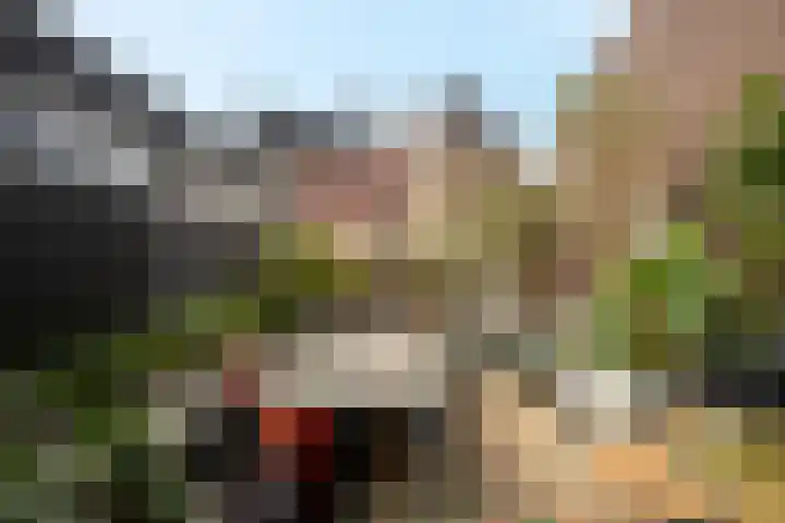 Korte Kerkstraat 4 A Harderwijk thumbnail 38