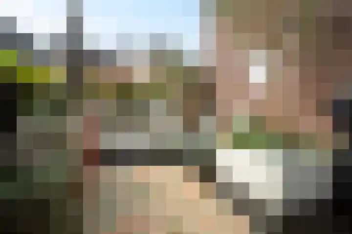 Korte Kerkstraat 4 A Harderwijk thumbnail 41