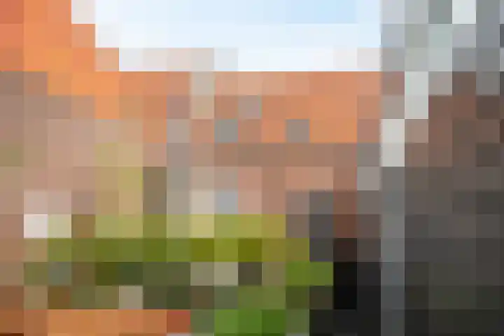Korte Kerkstraat 4 A Harderwijk thumbnail 42