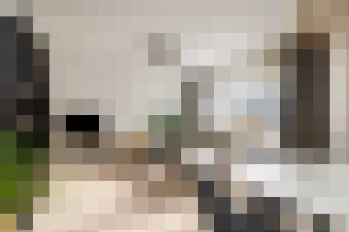 Korte Kerkstraat 41 Geldrop thumbnail 14