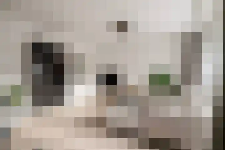 Korte Kerkstraat 41 Geldrop thumbnail 15