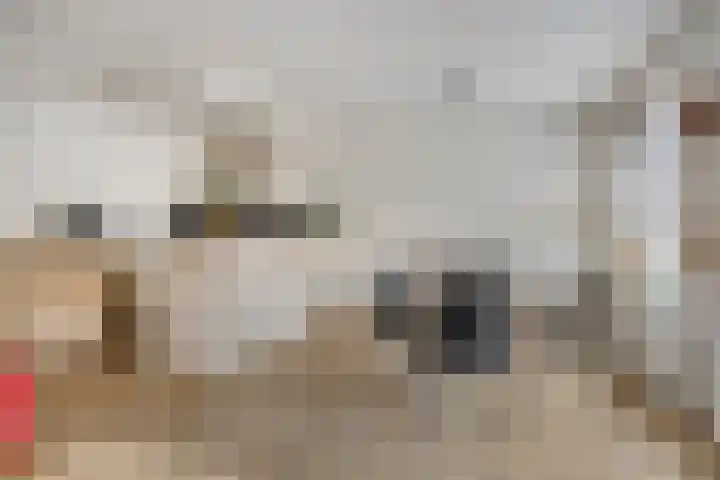 Korte Kerkstraat 65 Geldrop thumbnail 12