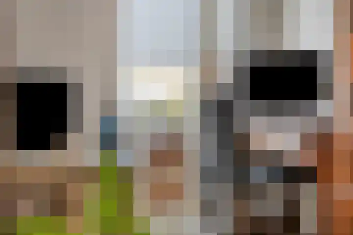 Korte Kerkstraat 65 Geldrop thumbnail 13