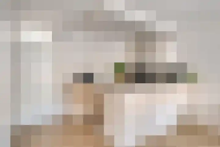 Korte Kerkstraat 65 Geldrop thumbnail 16