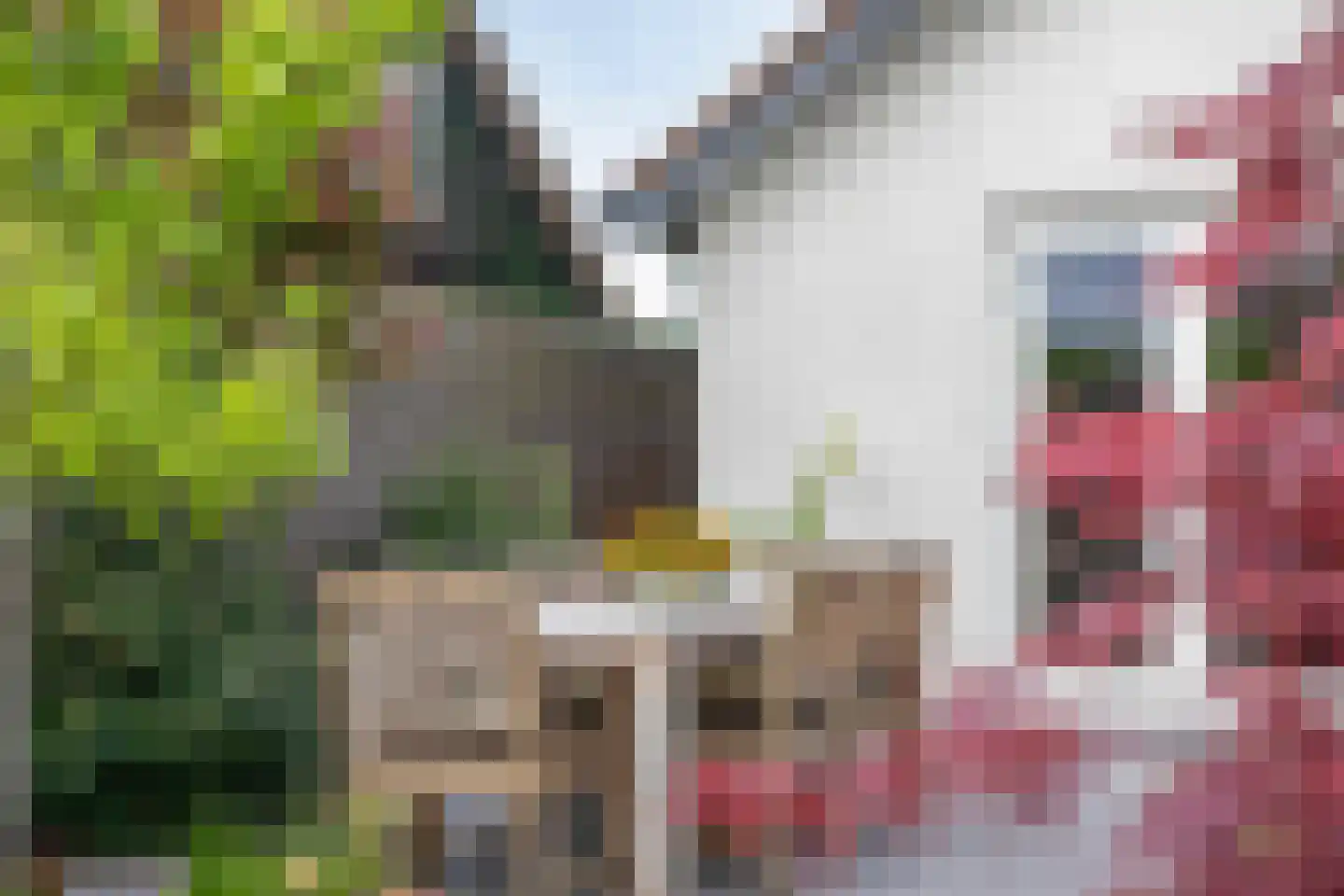Korte Kerkstraat 9 Soest thumbnail 41