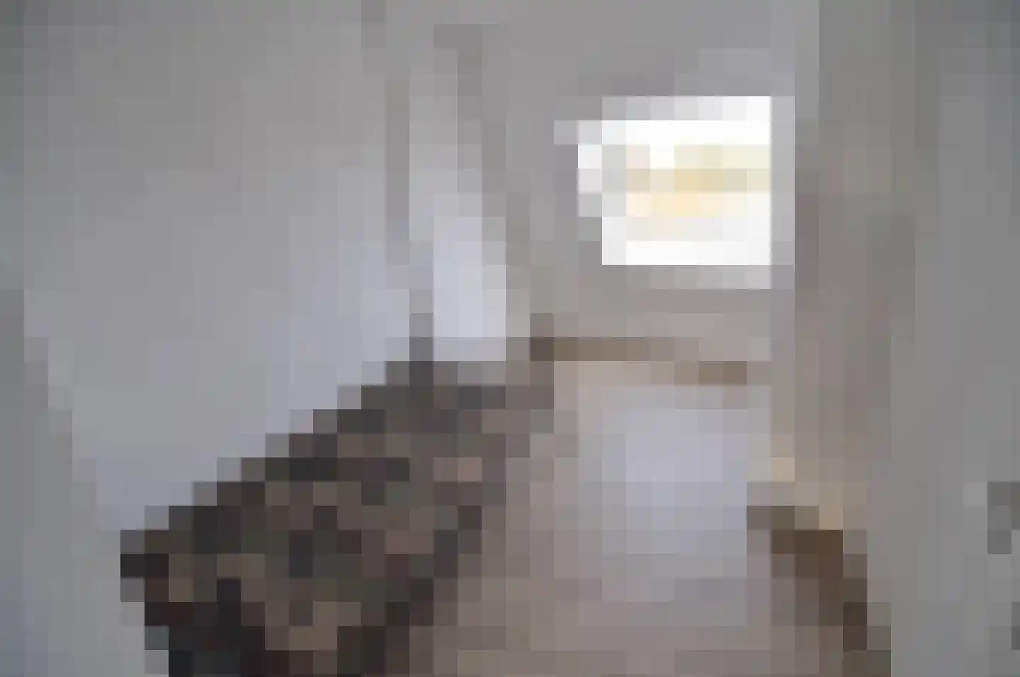 Korte Kerkstraat 95 Geldrop thumbnail 24