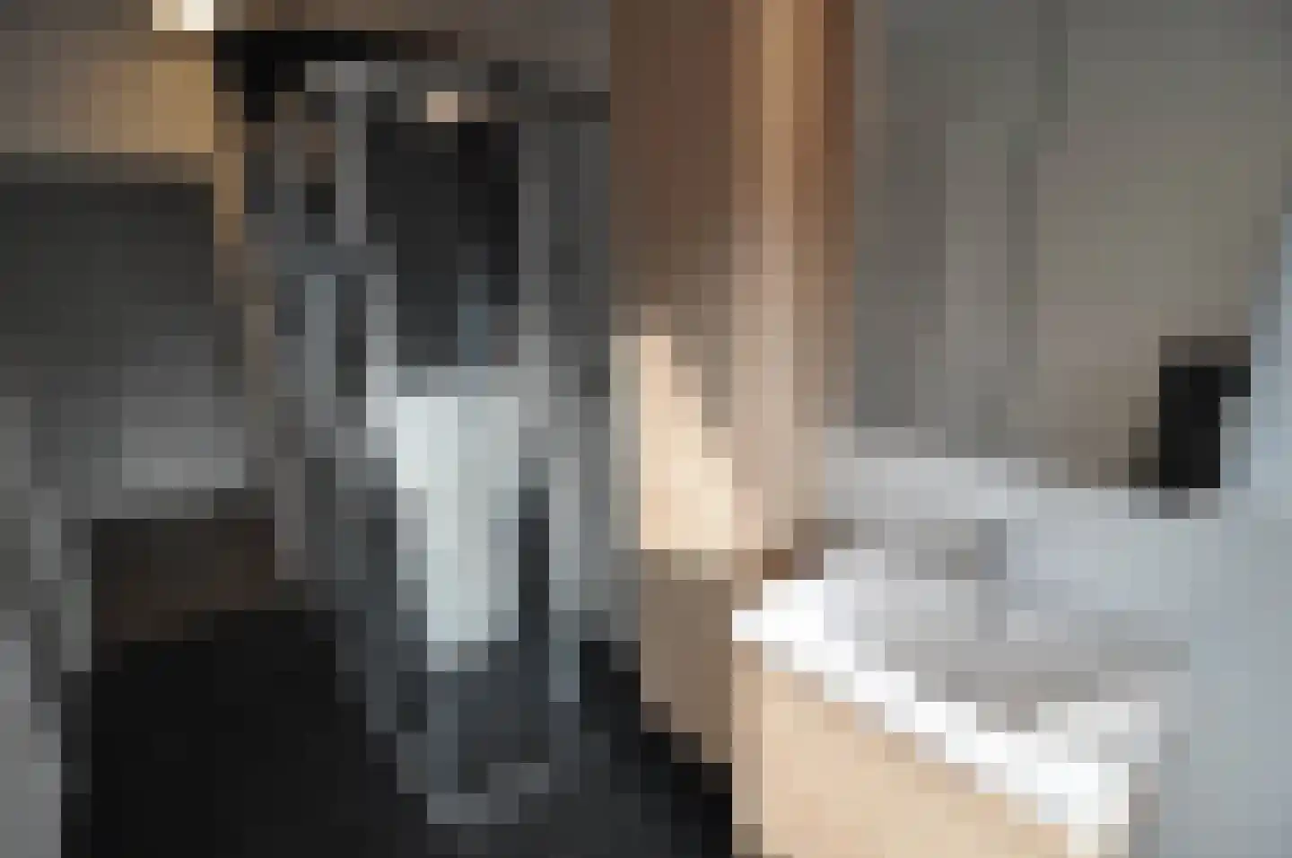 Korte Kerkstraat 95 Geldrop thumbnail 30