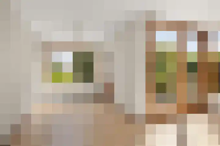 Korte Kerkweg 12 Kockengen thumbnail 11