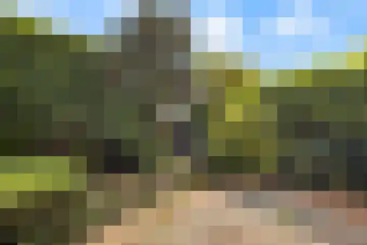 Korte Kerkweg 12 Kockengen thumbnail 29