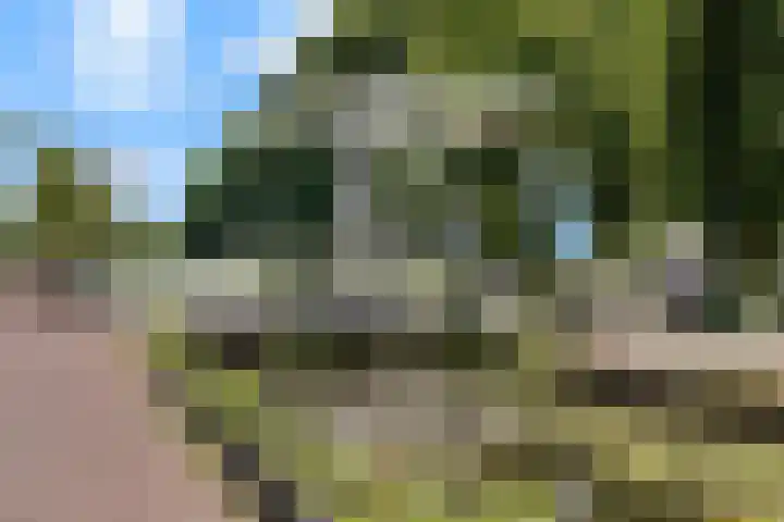 Korte Kerkweg 12 Kockengen thumbnail 36