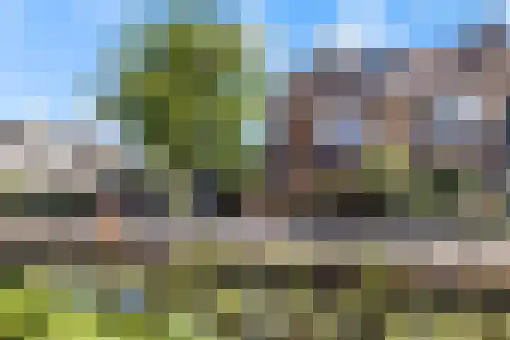 Korte Kerkweg 12 Kockengen thumbnail 43
