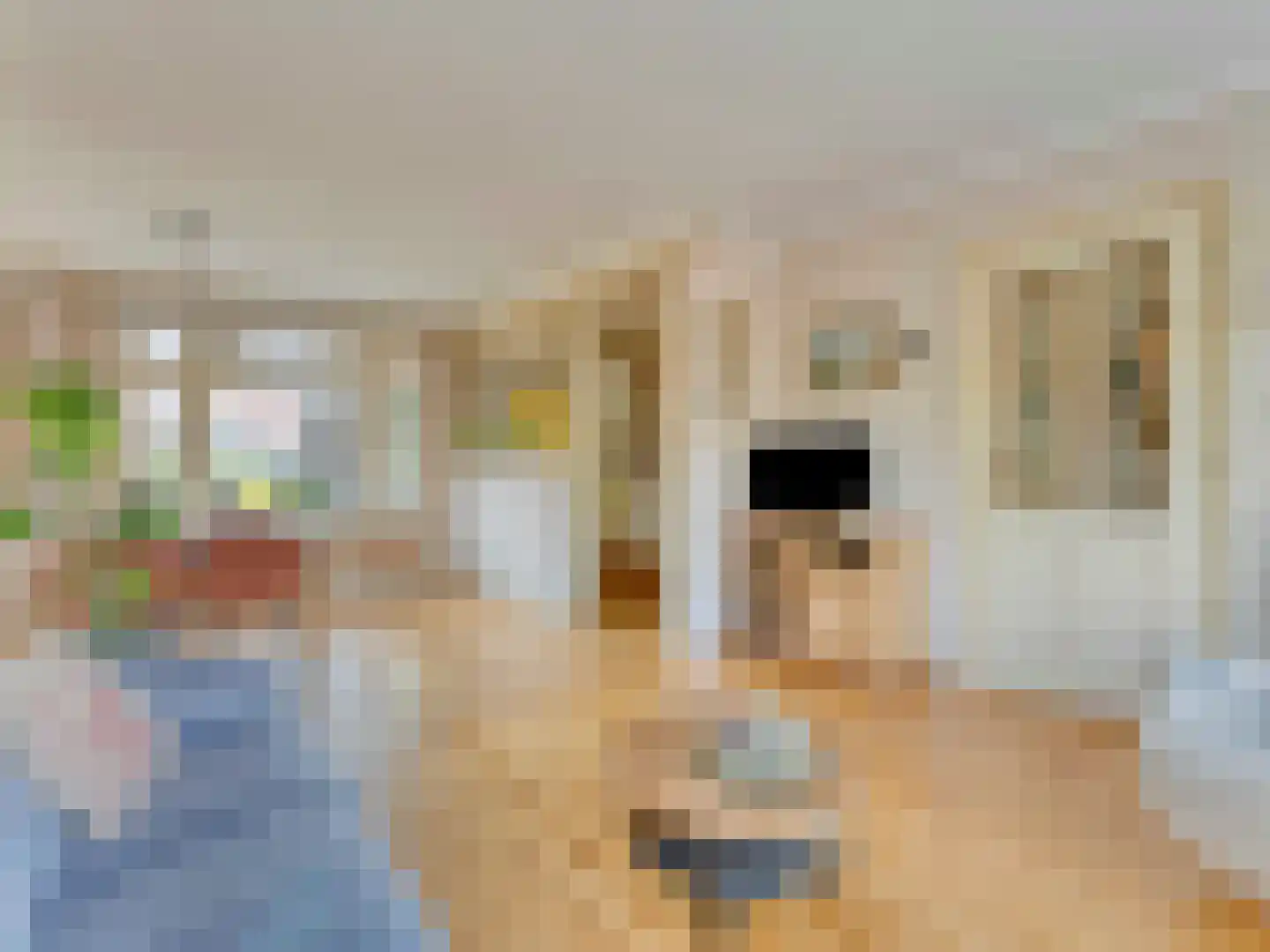 Korte Kerkweg 19 Kockengen thumbnail 10