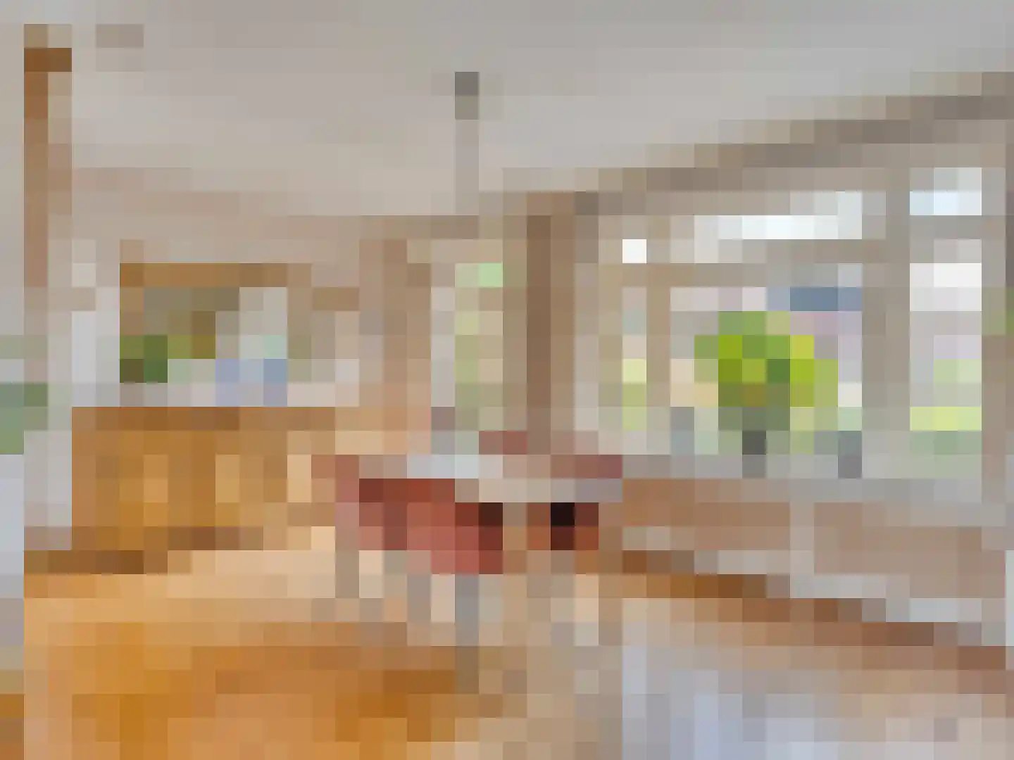 Korte Kerkweg 19 Kockengen thumbnail 11