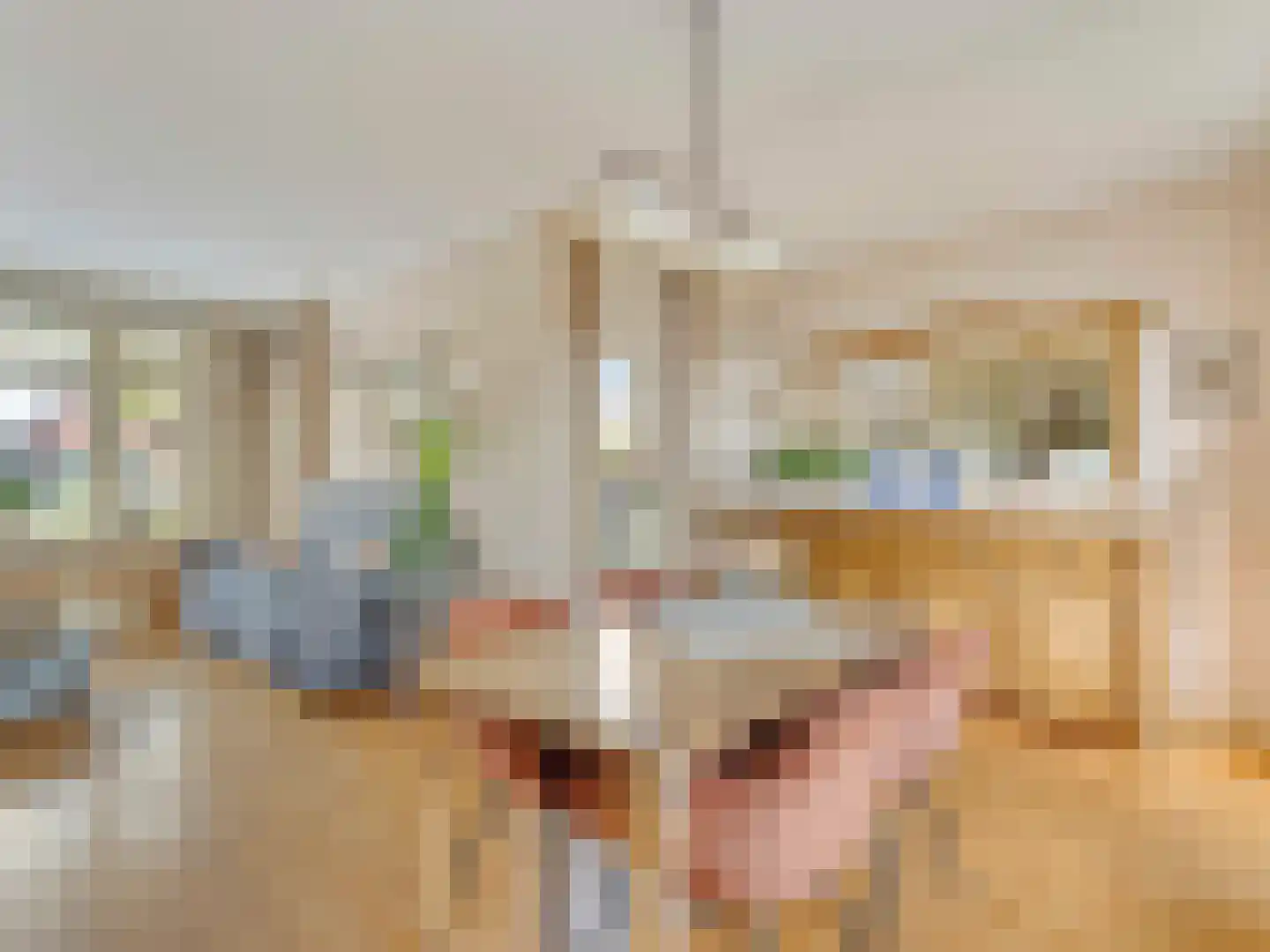 Korte Kerkweg 19 Kockengen thumbnail 12