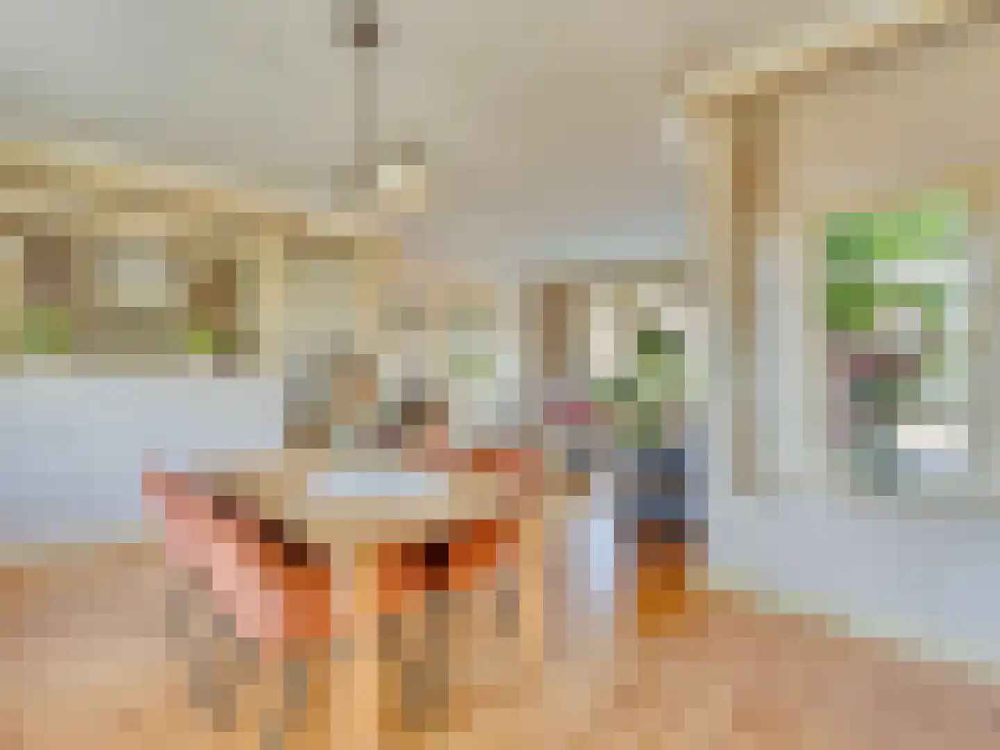 Korte Kerkweg 19 Kockengen thumbnail 13