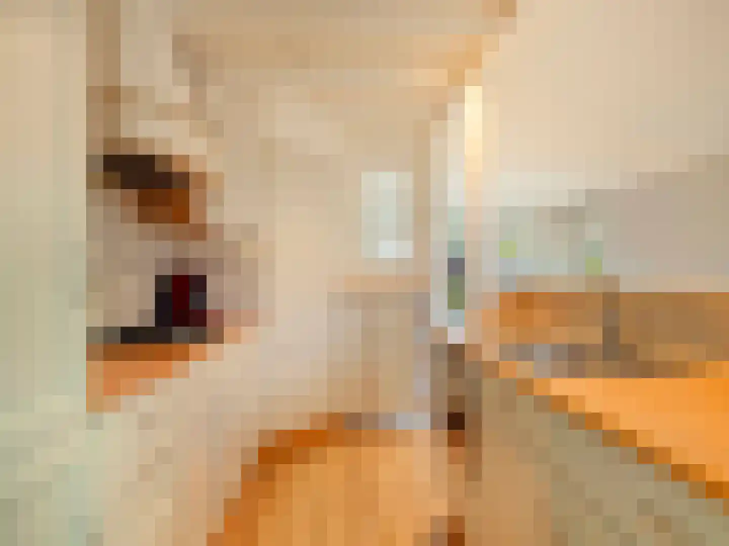 Korte Kerkweg 19 Kockengen thumbnail 24