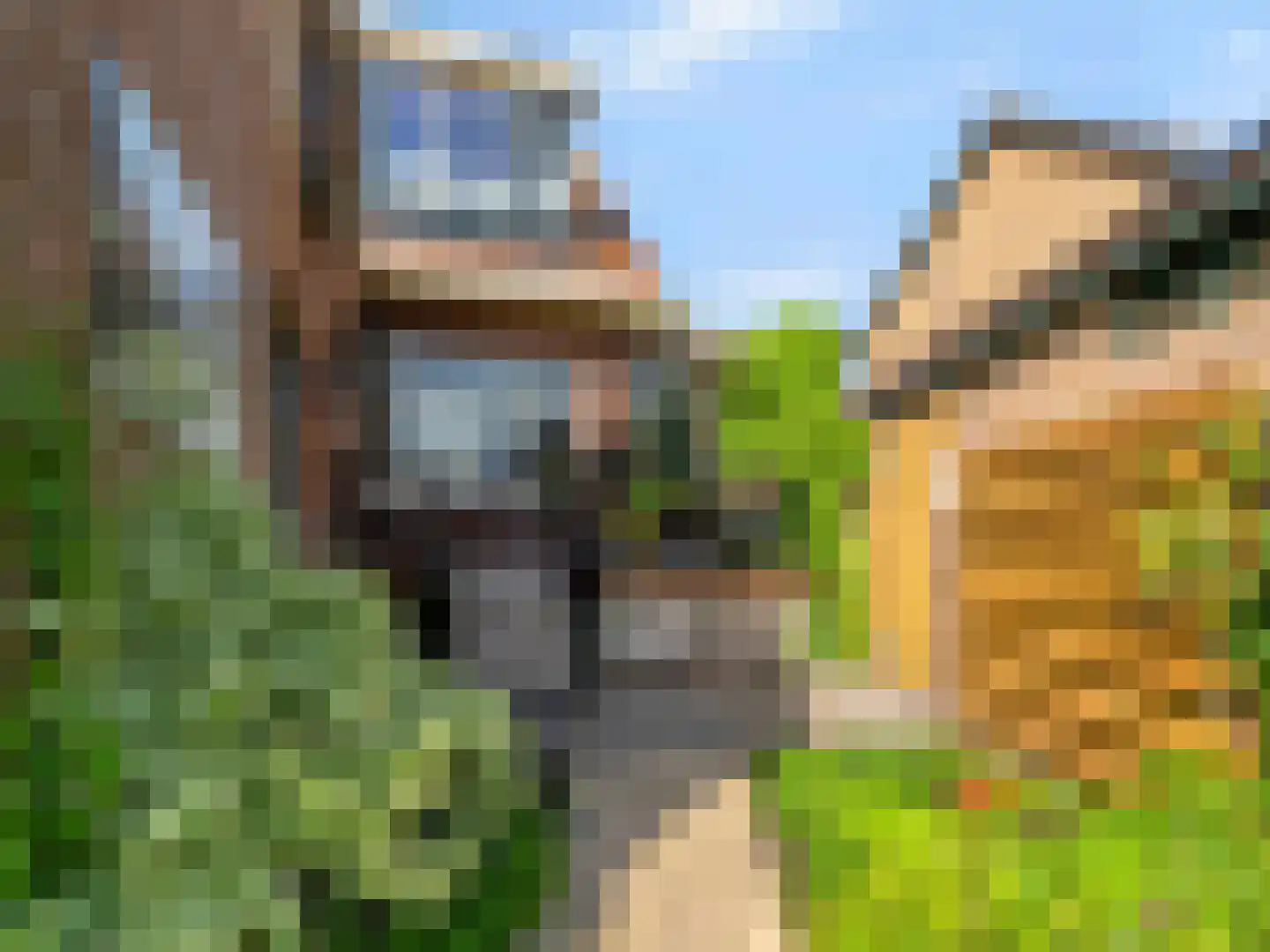 Korte Kerkweg 19 Kockengen thumbnail 39