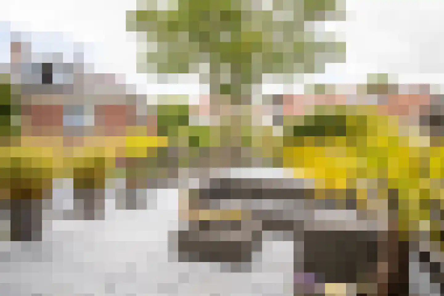 Korte Kleverlaan 44 Bloemendaal thumbnail 14