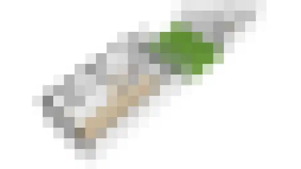 Korte Kleverlaan 50 Bloemendaal thumbnail 44